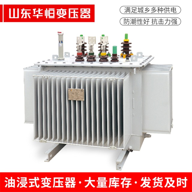 S13-10000/35康乐康乐康乐电力变压器